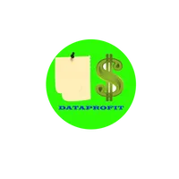 DataProfit icon