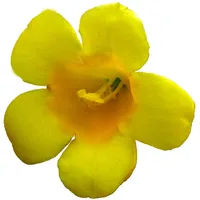 South Carolina Wildflowers icon