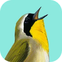 Song Sleuth Bird Song Analyzer icon