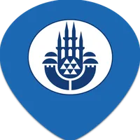 ibbWiseUp icon