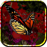 Butterflies Live Wallpaper icon