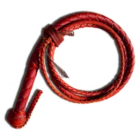 Whip icon