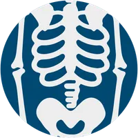 Anatomy notes:Abdomen & Pelvis icon