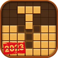 Wooden Block Puzzle 2023 icon