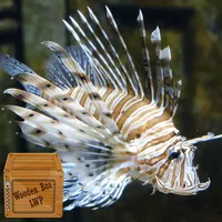 lionfish wallpaper icon