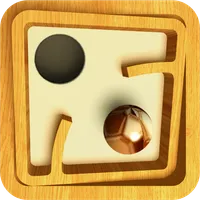 Labyrinth Pro icon