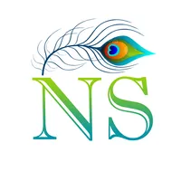 NS FIBER icon