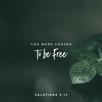 Bible Quotes for Life icon