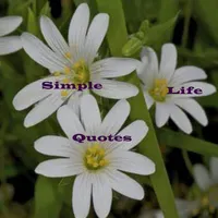Simple Life Quotes icon