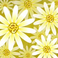 Daisy Flower Live Wallpaper icon