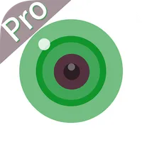 iCSee Pro icon