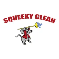 Squeeky Clean Car Wash icon