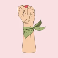 Test de feminismo icon