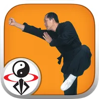 Shaolin Kung Fu icon