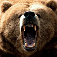 Bears Jigsaw Puzzles icon