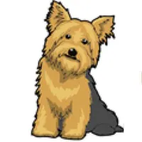 YorkshireTerrier.Dog icon