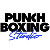 Punch Boxing icon