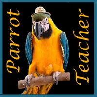 Parrot Teacher icon