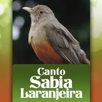 Canto de Sabia Laranjeira icon