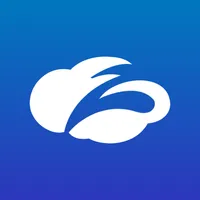 Zscaler Executive Insights icon