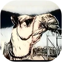 Zumool Al Khaleej زمول الخليج icon