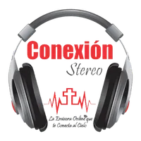 Conexión Stereo icon