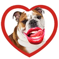 Dating On Go icon