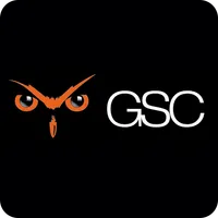 GPS Celar icon