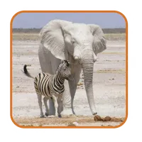 Safari List - Southern Africa icon