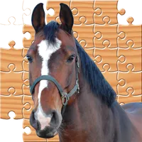 Jigsaw Horses icon