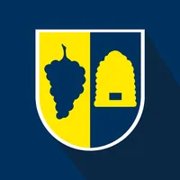 Korb icon