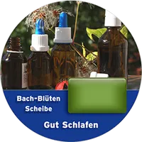 Gut schlafen Scheibe icon