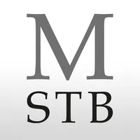 MICHELSOHN Steuerberatung icon