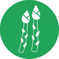 Esparragos delivery icon
