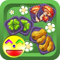 Memory-Match3 icon
