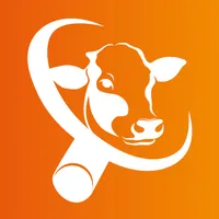 RISpekteur icon