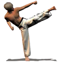 Taekwondo Forms (Sponsored) icon