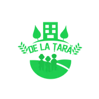 De la Țară icon