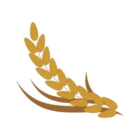 Riceye icon