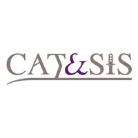 CATESIS Codes icon
