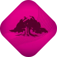 Sparebanken DIN icon