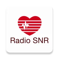 Radio SNR icon
