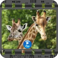 Documentaries Animals Online icon