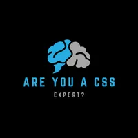 Are You A CSS Expert? icon