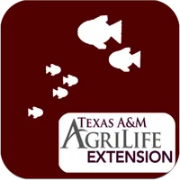 Endangered Fish of TX icon