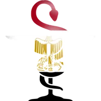 دليل صيدليات مصر | Town Map icon
