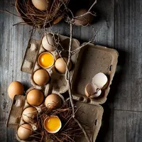 Egg Wallpaper icon