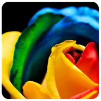 Emozioni icon