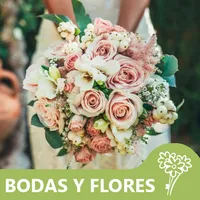 Floristería Madrid AdhocFlores icon