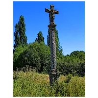 Bercimuel Informa icon